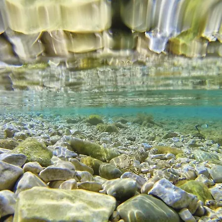 Awesome In * Bibinje